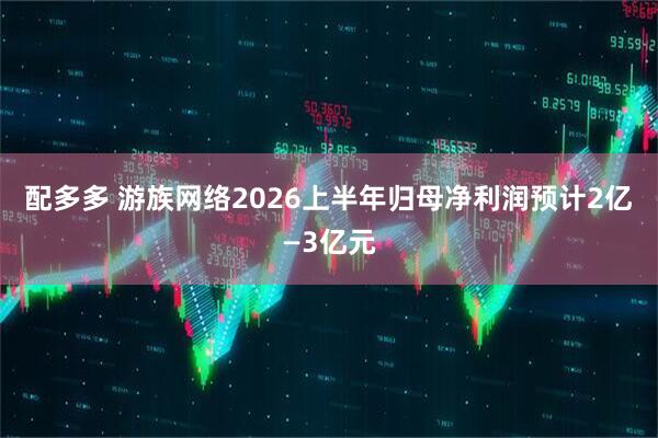 配多多 游族网络2026上半年归母净利润预计2亿—3亿元
