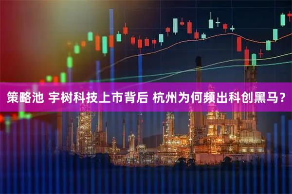 策略池 宇树科技上市背后 杭州为何频出科创黑马？